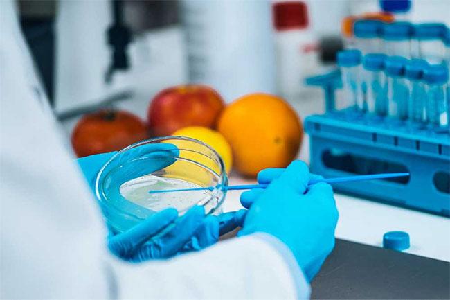 Sri Lanka failed to meet WHO food quality testing standards – Expert