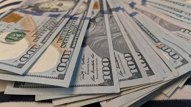 Foreign reserves robust, debt payments manageable - CBSL Governor