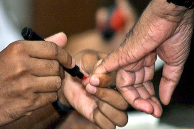 LG elections in April – Minister confirms