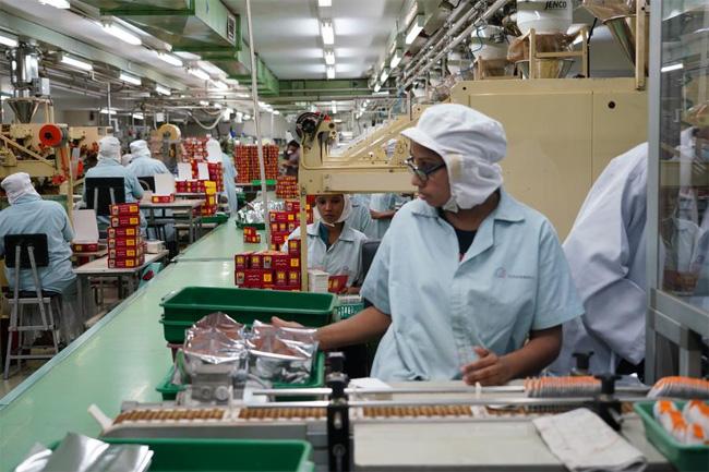 Sri Lankan tea exports revenue reach 1.43 billion USD in 2024