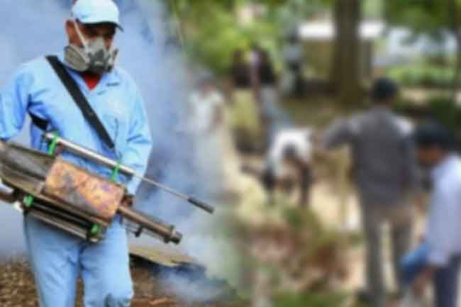 Task Force to combat Chikungunya and Dengue in Western Province
