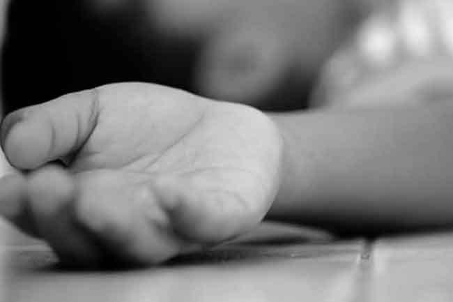 7-year-old girl killed in wild elephant attack in Hambantota