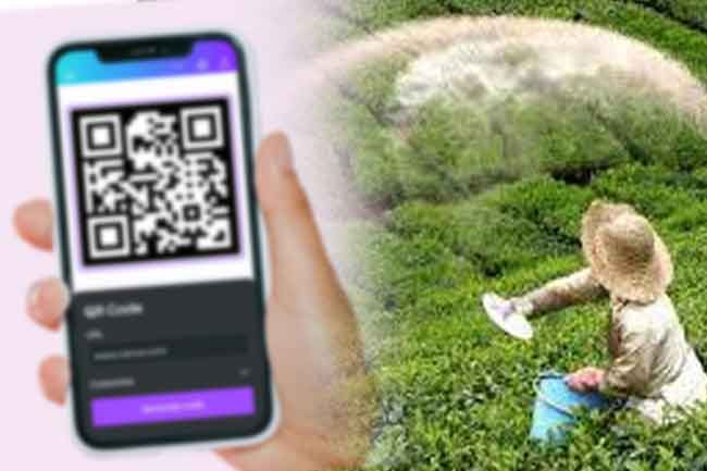 Fertilizer subsidy to farmers worth Rs. 200M to be provided via QR code – Minister
