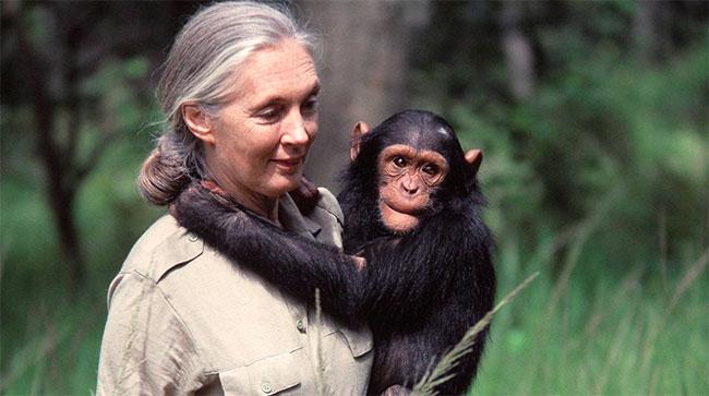 Conservationist Dame Jane Goodall dies aged 91
