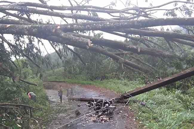 Over 30,000 in 18 districts affected by adverse weather