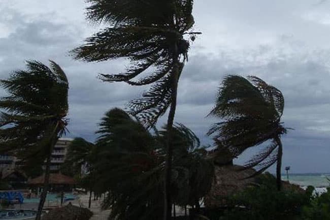 Amber weather advisory issued for strong winds in several provinces