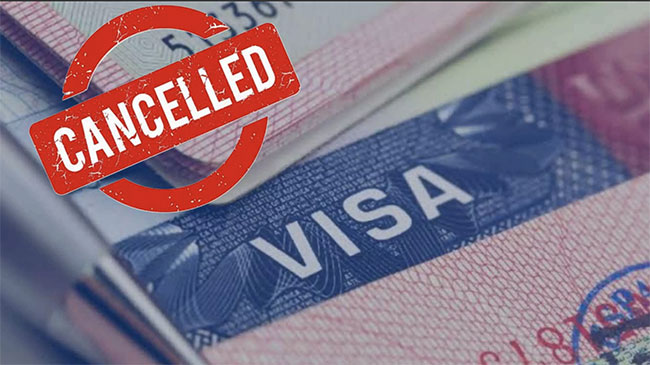 Trump administration has revoked 80,000 non-immigrant visas, US official says