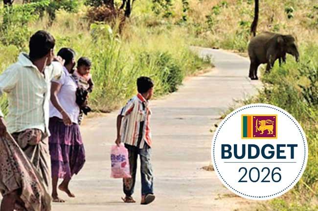 Rs. 1 bln allocated to address human-elephant conflict – President