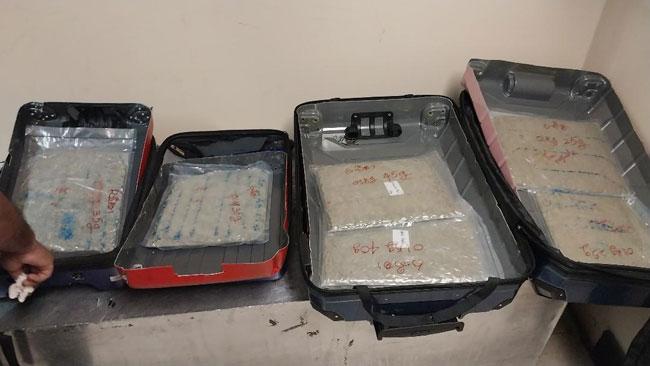 Four Sri Lankans arrested with over 20kg of ‘Kush’ at BIA