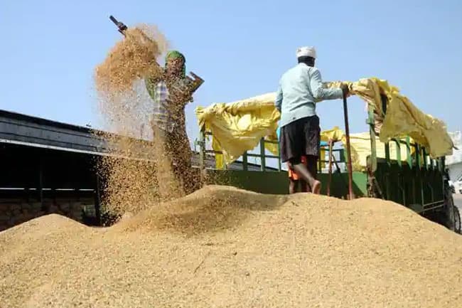 Concessionary loan scheme announced to purchase paddy in Maha Season