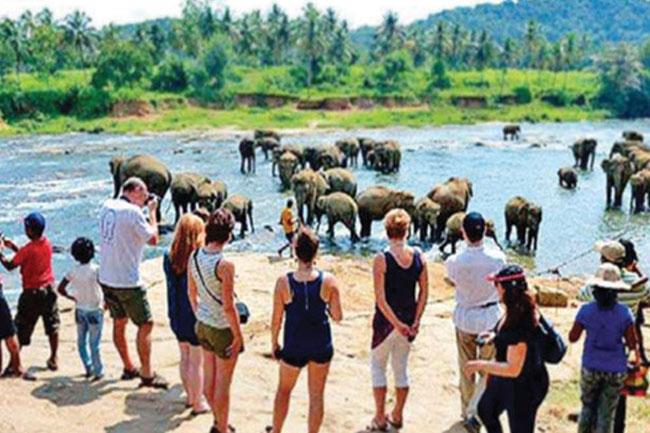Tourist arrivals in 2026 top 150,000