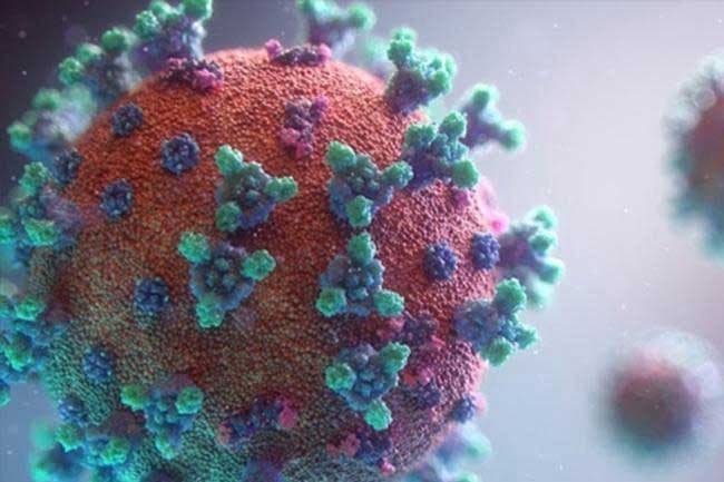 Cold weather triggers rise in viral infections across Sri Lanka - Health experts
