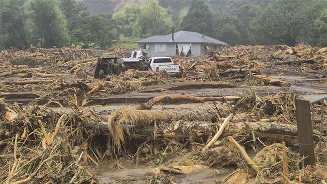 Heavy rains wreak havoc in New Zealand, several people missing in landslide