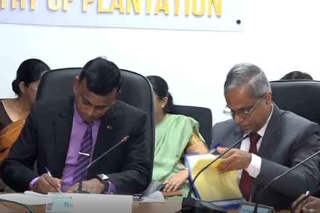 Govt signs agreement with plantation companies to increase estate workers’ daily wage