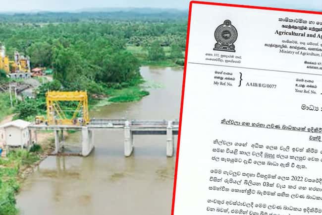 Govt to pay Rs. 1,200 mln for crop damage caused by Nilwala River salinity barrier