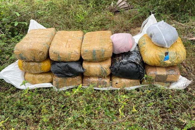 30kg of Kerala cannabis seized in Masar