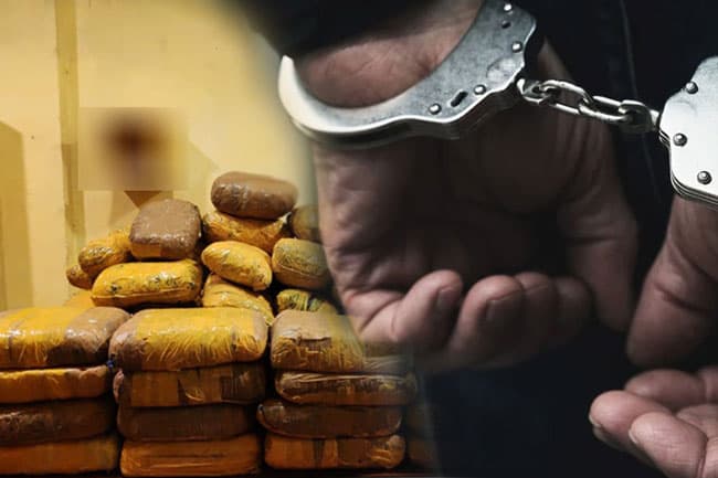 Suspect arrested with over 270kg of Kerala cannabis in Ragama