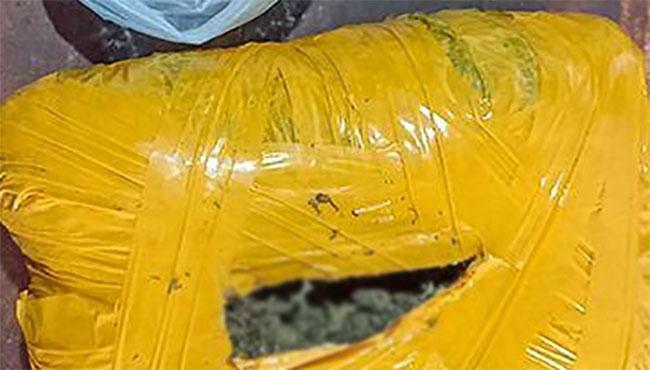 Individual arrested with 2kg of cannabis in Puttalam