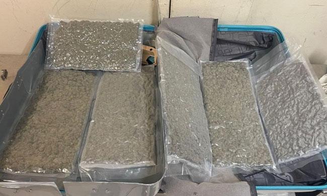Indian national arrested with over 2.7 kg of ‘Kush’ at BIA