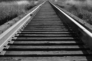 Derailment near Galle, trains delayed