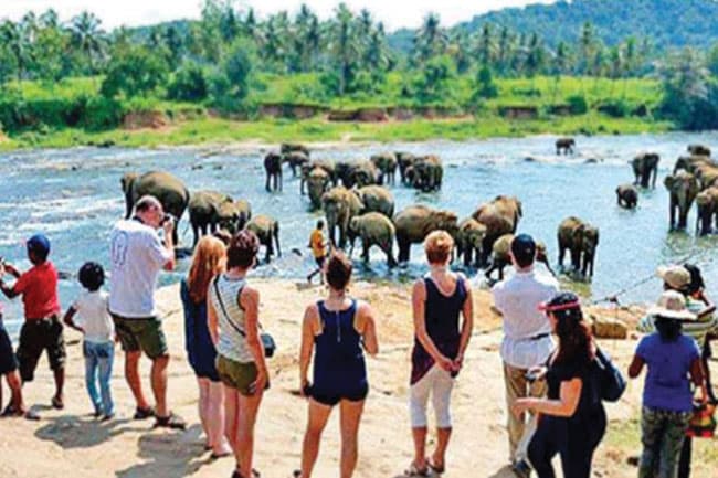 Sri Lanka’s tourist arrivals in 2026 surpass 700,000