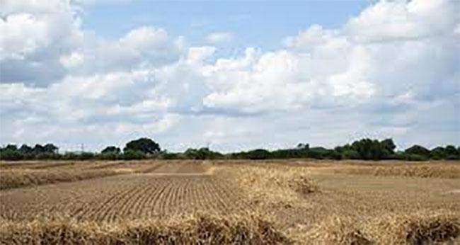 Met. Department warns of possible extended drought if El Niño develops