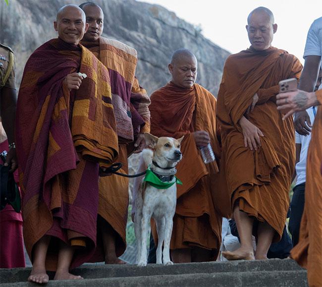 ‘Ehipassiko - Walk for Peace’ draws to a close