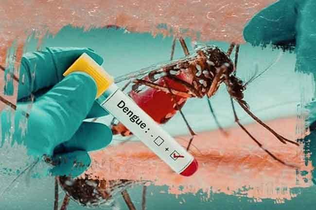 Dengue cases spike in Sri Lanka in 2026 – Health officials warn of further increase