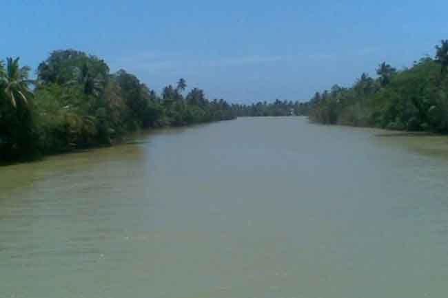 Gradual recession of river water levels amid reduced rainfall: Irrigation Dept.
