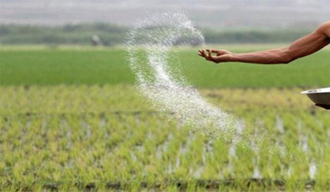 Samples of ‘substandard’ fertilizer from Thambuttegama sent for testing