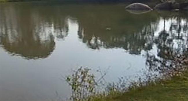 Two brothers drown in abandoned quarry in Kekirawa