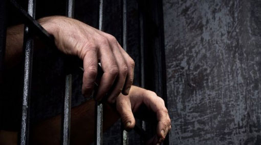 Eight remanded after student protest