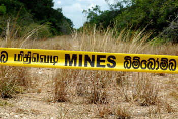 Mine clearance could take 10 years or more - UNDP