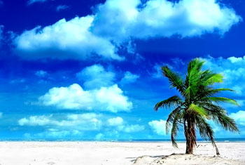 Bentota Beach Festival 2012 kicks off