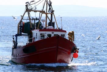 37 Chinese fishermen poaching in Sri Lankan waters arrested