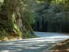 Renovated 18-bend Kandy-Mahiyangana Road to be declared open Sunday