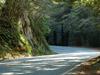Renovated 18-bend Kandy-Mahiyangana Road to be declared open Sunday
