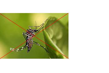 Mosquito Breeding Act to be amended, fines to be increased