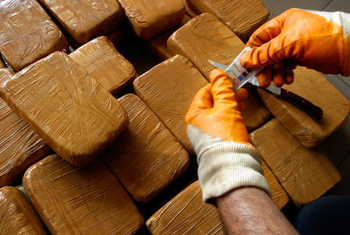 Agencies alert over drug networks as demand doubles in SL
