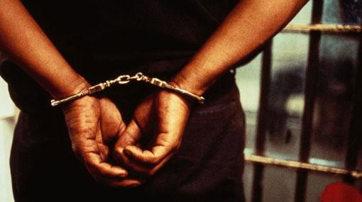 ‘Ava Group’ leader and 5 members arrested