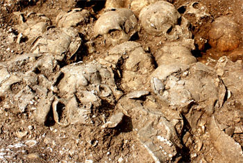 Archaeological investigation launched on human remains near Matale Hospital