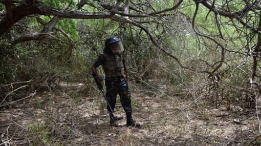 Unexploded LTTE mortar shells uncovered in Mannar