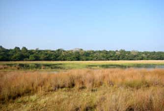 Environment Ministry to probe Wilpattu issue