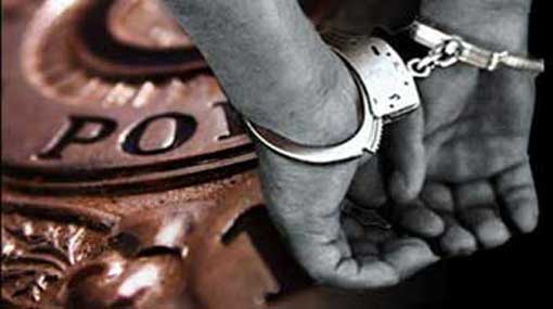 Illegal treasure hunt: five arrested