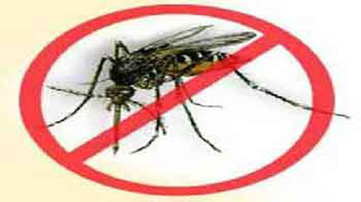 Dengue claims 269 lives in 2017