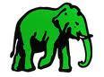 Tuition ban on Sundays pointless – UNP