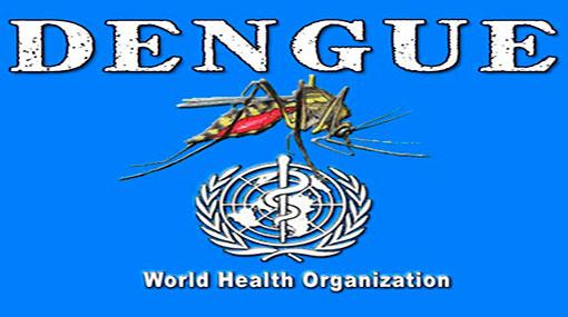 WHO report on Dengue presented to Health Minister
