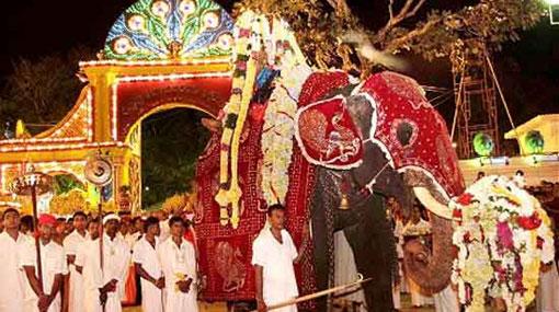 Not enough elephants for this year’s perahera - Basnayake Nilame