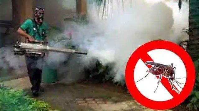 Special dengue control programme at schools today