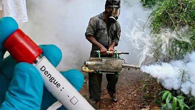 538 GN Divisions identified as high-risk areas for dengue transmission